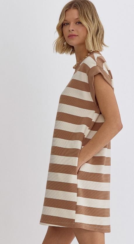 Light Mocha Stripe Mini Dress