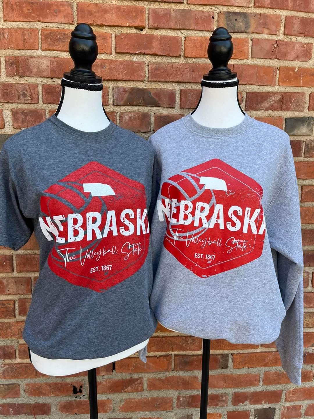 Nebraska The Volleyball State T-Shirt