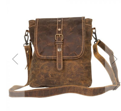 Brown Beauty Leather Bag